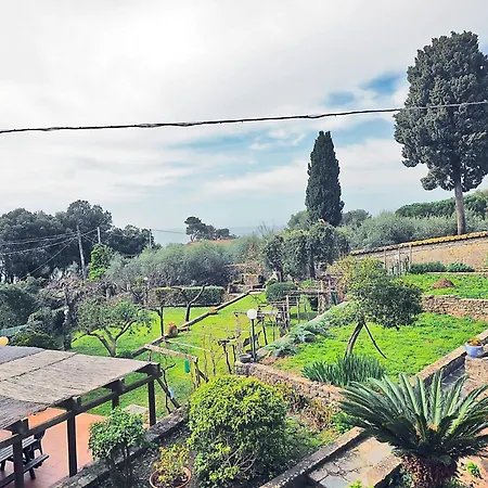 Apartman Tra Gli Ulivi E Il Mare *