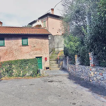 Tra Gli Ulivi E Il Mare Tellaro