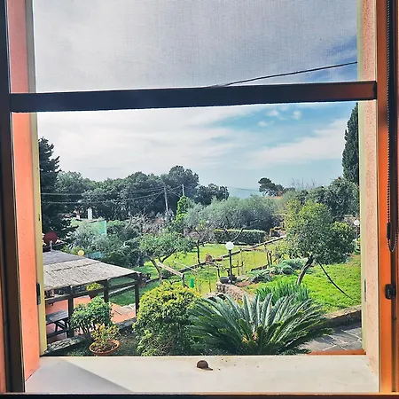 Tra Gli Ulivi E Il Mare